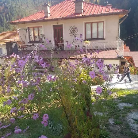 Рехатъ Къща Огнянови Maison d'hôtes Smolyan