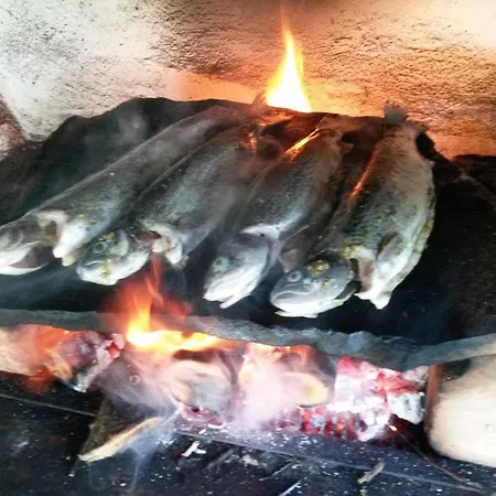 Рехатъ Къща Огнянови Smoljan